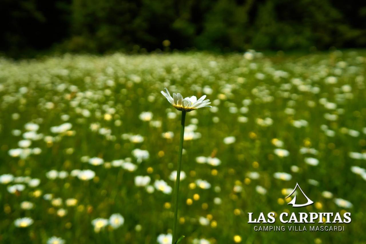 Las Carpitas Villa Mascardi 외부 사진